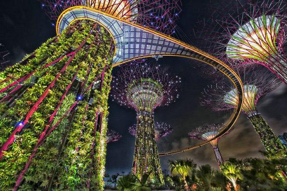 Hướng dẫn viên ở Singapore