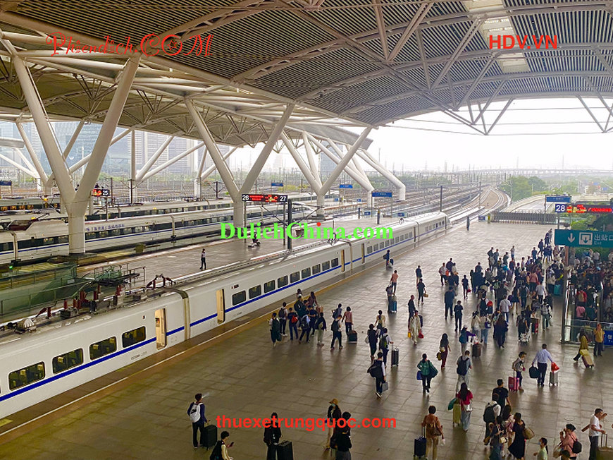 phien-dich-vien-thuong-hai50