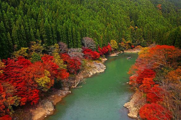 Thoáng bình yên nơi Arashiyama Nhật Bản